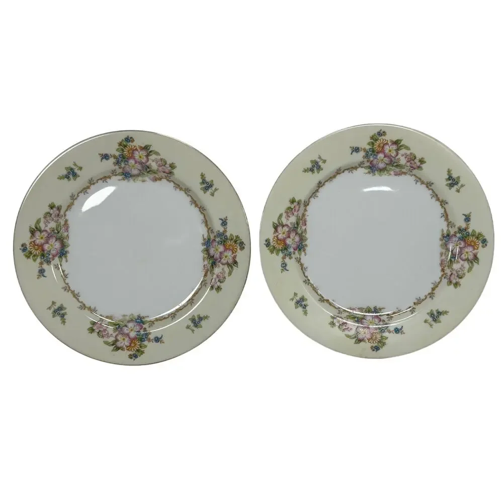 Meito China Hand Painted Floral Plates Set of 2 Japan 9.75” Vintage